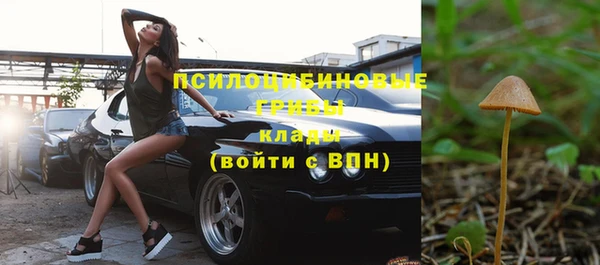 прущие крисы Мегион