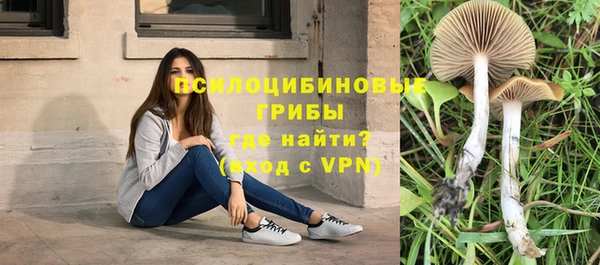 стаф Майский